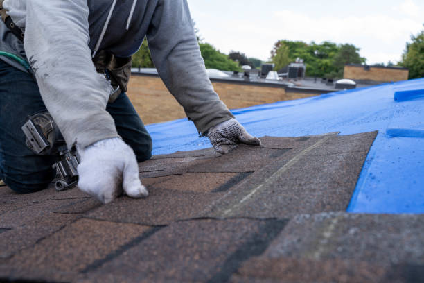 Best Flat Roof Repair Services  in Springfield, TN
